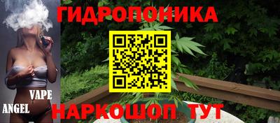 хмурый Тула