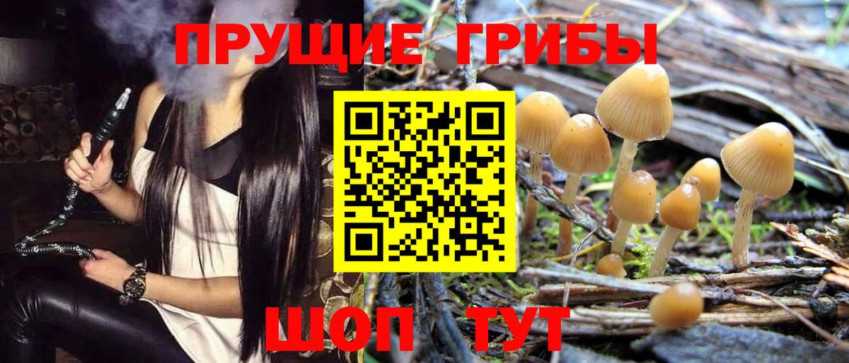 Галлюциногенные грибы мицелий Алапаевск